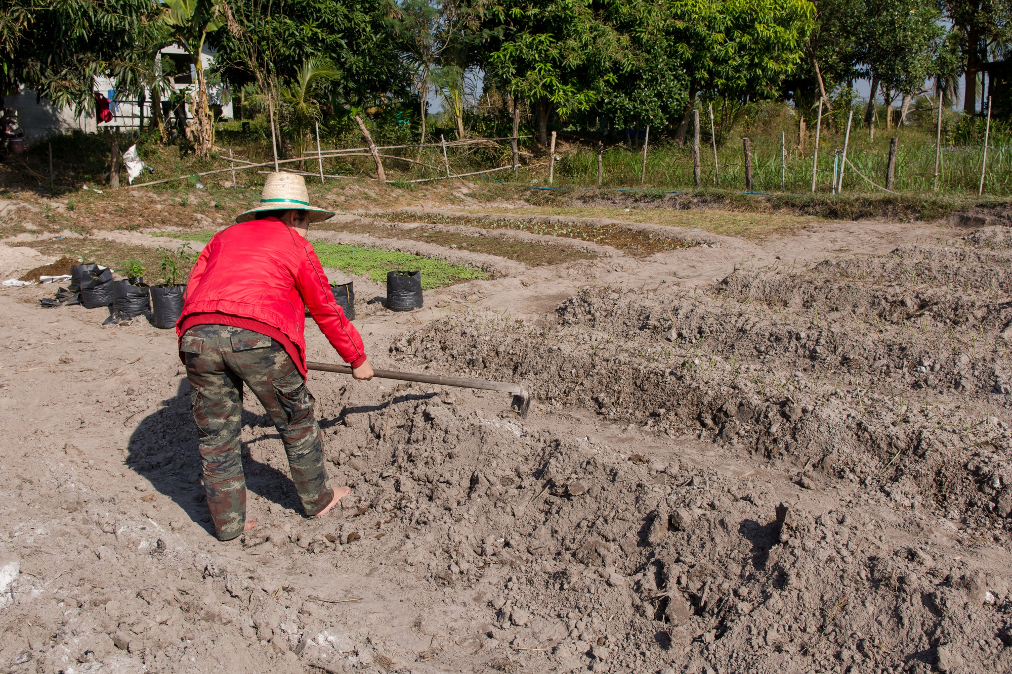 Labranza y preparación del terreno